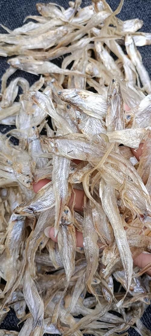 毛魚圖片，“毛魚”在不同地區(qū)指代不同物種
