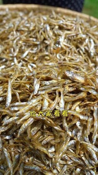 毛魚圖片，“毛魚”在不同地區(qū)指代不同物種