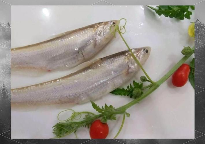 毛魚圖片，“毛魚”在不同地區(qū)指代不同物種