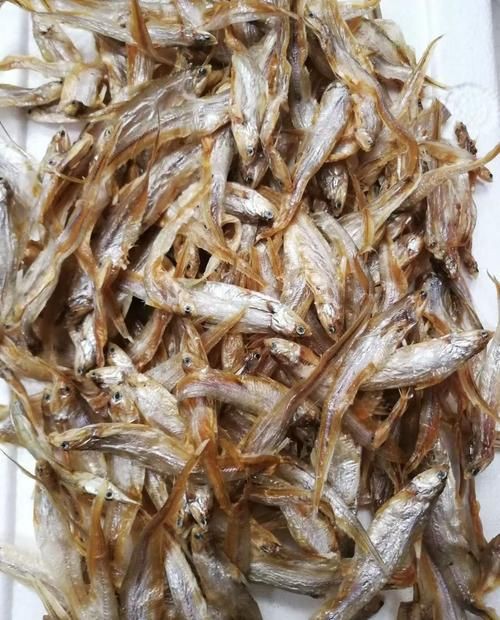 毛魚圖片，“毛魚”在不同地區(qū)指代不同物種