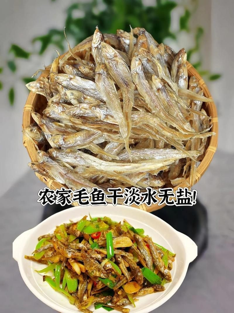 毛魚圖片，“毛魚”在不同地區(qū)指代不同物種