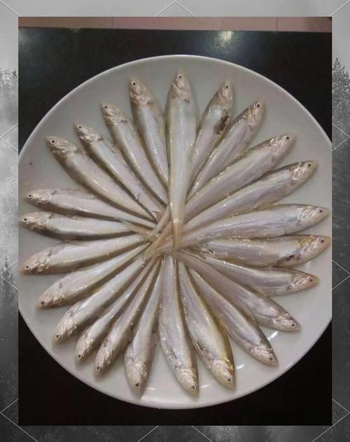 毛魚圖片，“毛魚”在不同地區(qū)指代不同物種