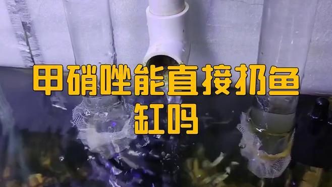 甲硝唑?qū)ο趸到y(tǒng)有何影響？，·銳刊研習(xí)社甲硝唑?qū)ο趸到y(tǒng)的影響