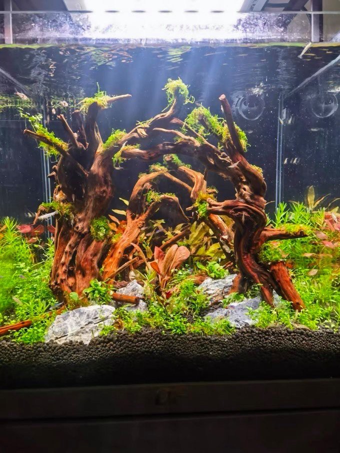 仟湖魚缸御龍殿什么價位，仟湖of專業(yè)龍魚缸御龍殿3代金龍紅龍魚專用魚缸水族箱套裝