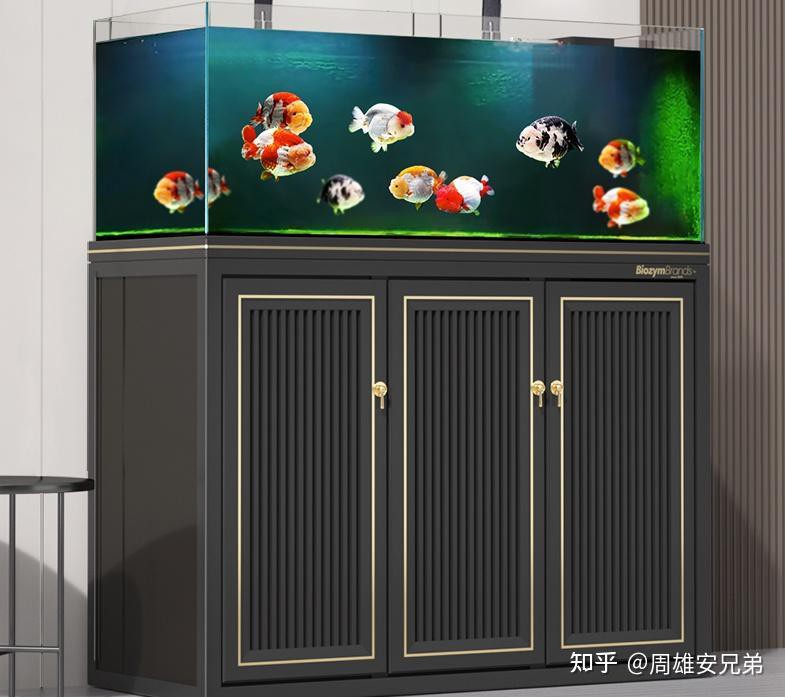 仟湖魚缸御龍殿什么價位，仟湖of專業(yè)龍魚缸御龍殿3代金龍紅龍魚專用魚缸水族箱套裝