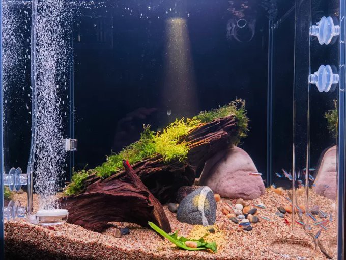 仟湖魚缸御龍殿什么價位，仟湖of專業(yè)龍魚缸御龍殿3代金龍紅龍魚專用魚缸水族箱套裝