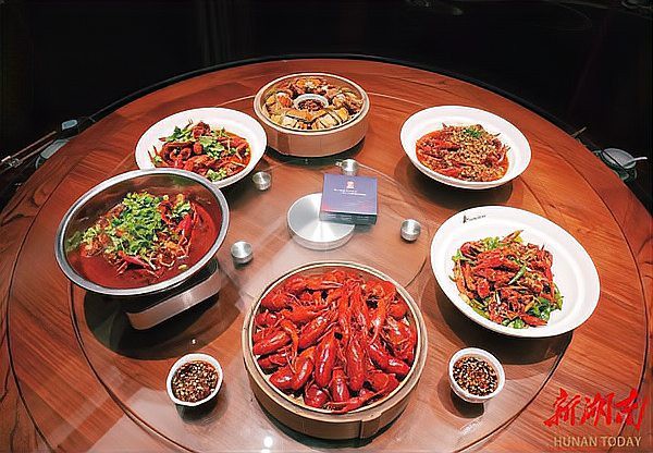 新邵龍魚店，關于“新邵龍魚店”的具體信息