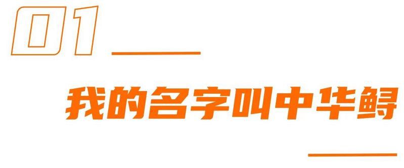 什么魚壽命最長， 什么魚壽命最長，\