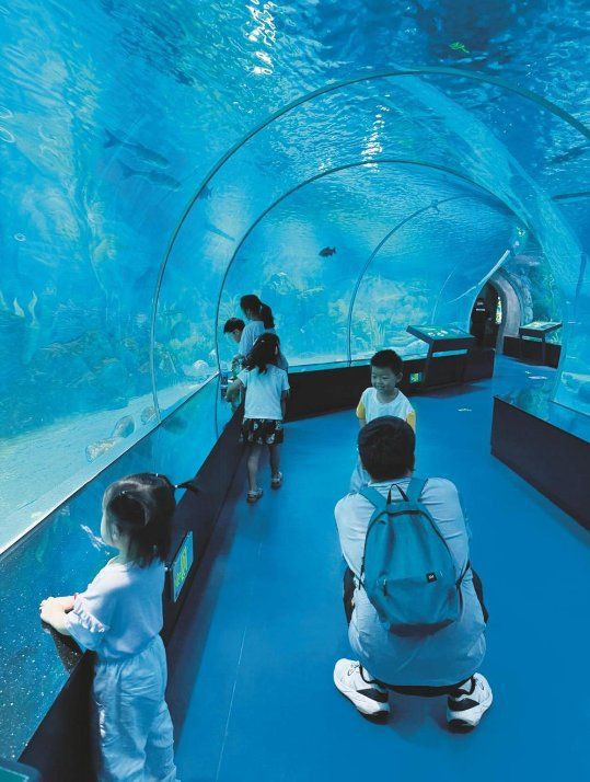 紹興魚缸店,紹興市柯橋區柯橋一岡水族商店 全國水族館企業名錄 第15張 紹興魚缸店,紹興市柯橋區柯橋一岡水族商店 紹興魚缸店,紹興市柯橋區柯橋一岡水族商店 全國水族館企業名錄 第15張