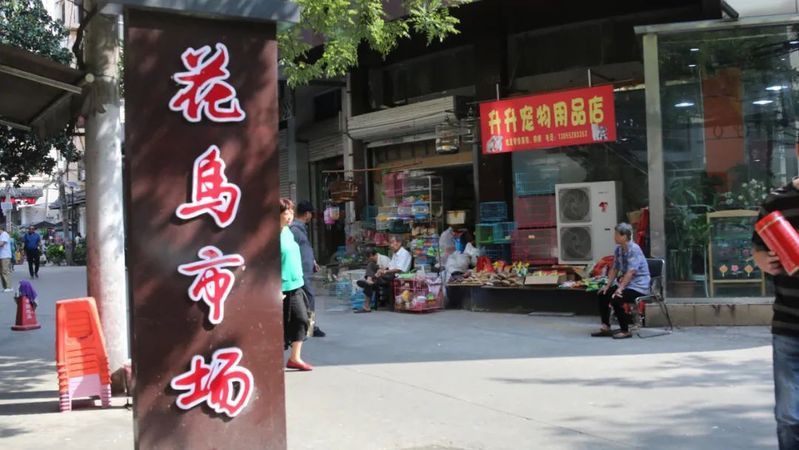 蚌埠魚缸批發市場，蚌埠魚缸批發市場分析 蚌埠魚缸批發市場，蚌埠魚缸批發市場分析 全國水族館企業名錄 第18張