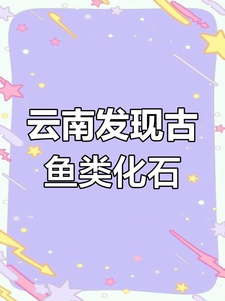 恐龍時代最大的魚,云南發(fā)現(xiàn)3.9億年前東方魚化石,揭示恐龍時代的魚類 龍魚百科 第6張 恐龍時代最大的魚,云南發(fā)現(xiàn)3.9億年前東方魚化石,揭示恐龍時代的魚類 恐龍時代最大的魚,云南發(fā)現(xiàn)3.9億年前東方魚化石,揭示恐龍時代的魚類 龍魚百科 第6張
