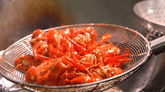 嘉定龍魚店，上海嘉定龍魚店爆款最受歡迎的兩家龍魚店如何前往榕港海鮮大酒樓