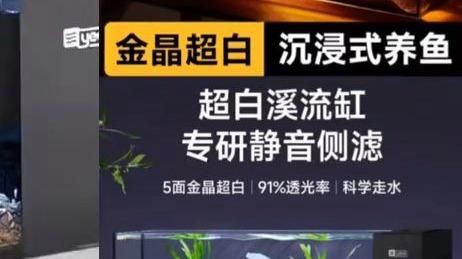最新款魚缸款式，2025年最新款魚缸在設計與功能上均有顯著創新