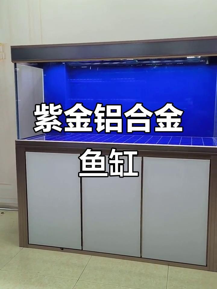 最新款魚缸款式，2025年最新款魚缸在設計與功能上均有顯著創新