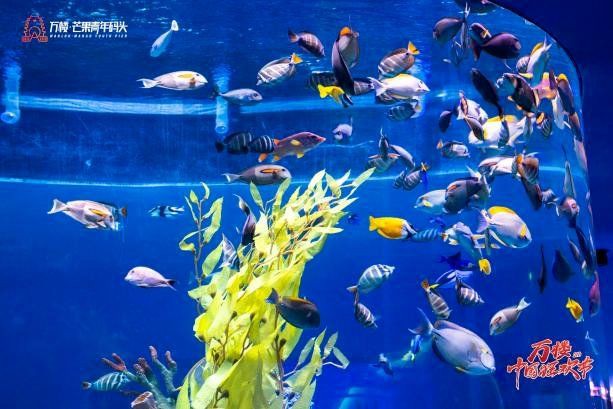 湘潭龍魚店，湘潭市鐘治龍魚店