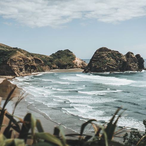 紅龍魚(yú)最討厭三個(gè)東西，紅龍魚(yú)最討厭的三個(gè)東西主要體現(xiàn)在以下幾個(gè)方面