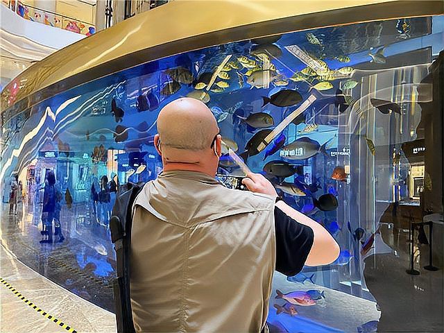 萬源水族店，萬源市斯博佳水族店為何注銷 萬源水族店，萬源市斯博佳水族店為何注銷 全國水族館企業(yè)名錄 第2張