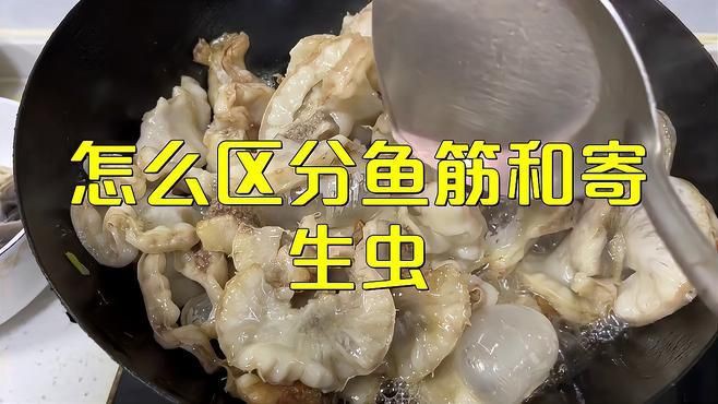 如何鑒別鲅魚體內(nèi)的寄生蟲和魚筋？，《如何鑒別鲅魚體內(nèi)的寄生蟲和魚筋》