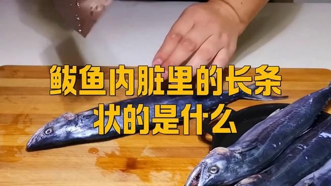 如何鑒別鲅魚體內的寄生蟲和魚筋？，《如何鑒別鲅魚體內的寄生蟲和魚筋》
