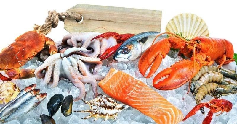 如何區分小瓜蟲和異尖線蟲？，如何區分小瓜蟲和異尖線蟲