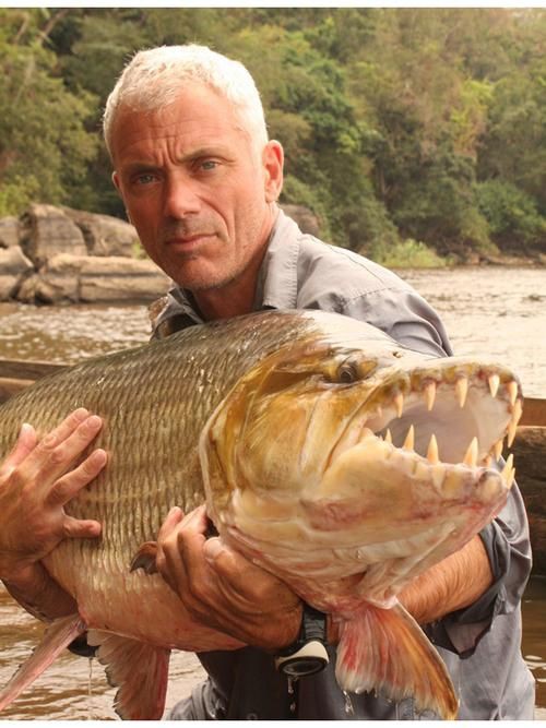 猛魚圖片，猛魚探秘：天生獵手，速戰(zhàn)速?zèng)Q的強(qiáng)者