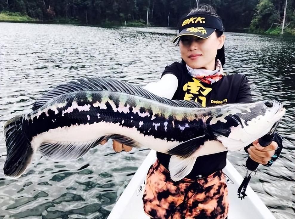 猛魚圖片，猛魚探秘：天生獵手，速戰(zhàn)速?zèng)Q的強(qiáng)者