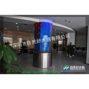 深圳龍華最大觀賞魚批發市場地址，深圳龍華區的觀賞魚市場