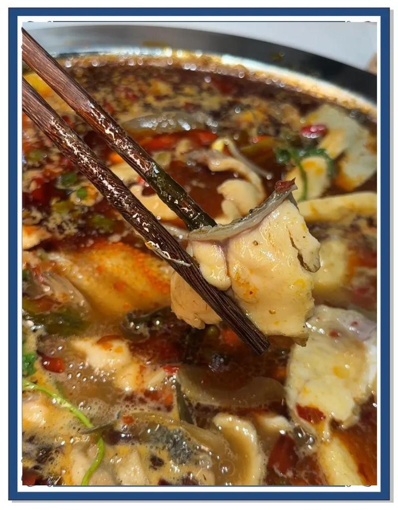 臨猗龍魚店，臨猗龍魚店哪家口碑最好 臨猗龍魚店，臨猗龍魚店哪家口碑最好 全國(guó)水族館企業(yè)名錄 第6張