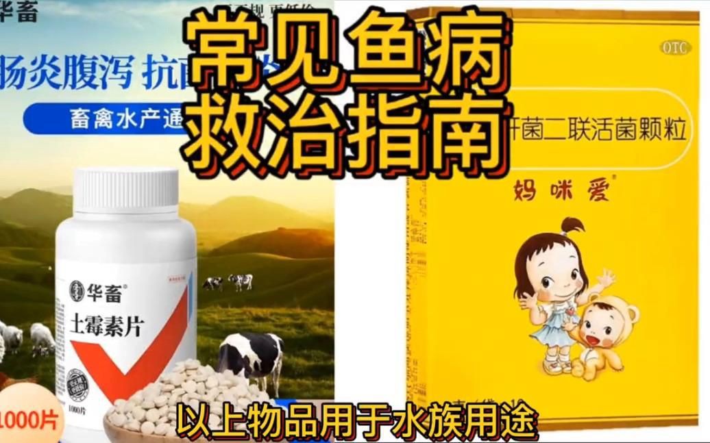 有哪些有效的魚病治療藥物？，養觀賞魚必備的八種魚藥