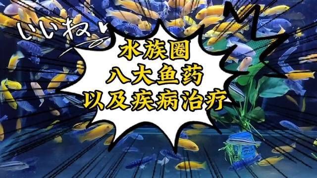 有哪些有效的魚病治療藥物？，養觀賞魚必備的八種魚藥