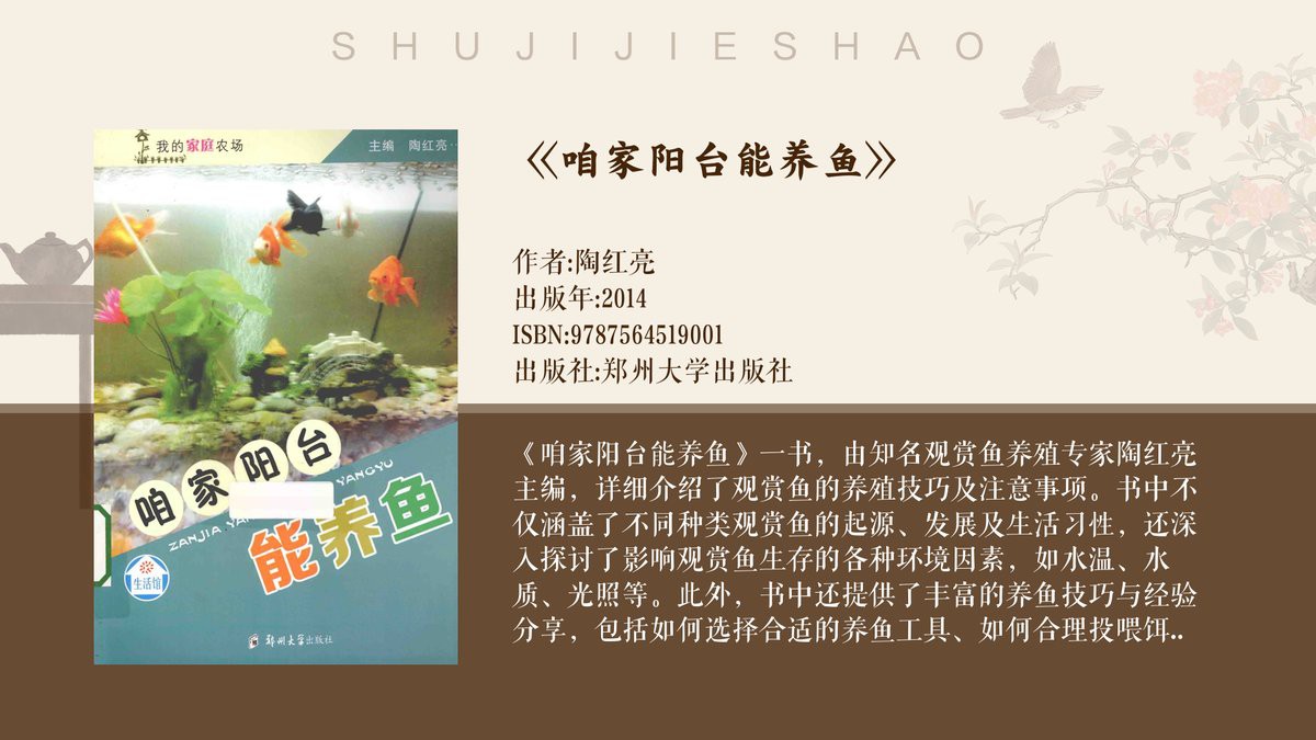 燈科魚最建議買的三個品種，養燈科魚的注意事項