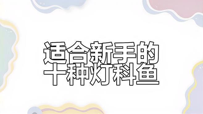 燈科魚最建議買的三個品種，養燈科魚的注意事項