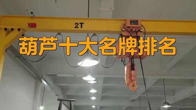 電動(dòng)葫蘆廠家十大排名，2025年電動(dòng)葫蘆十大品牌排名 電動(dòng)葫蘆廠家十大排名，2025年電動(dòng)葫蘆十大品牌排名 龍魚論壇 第3張