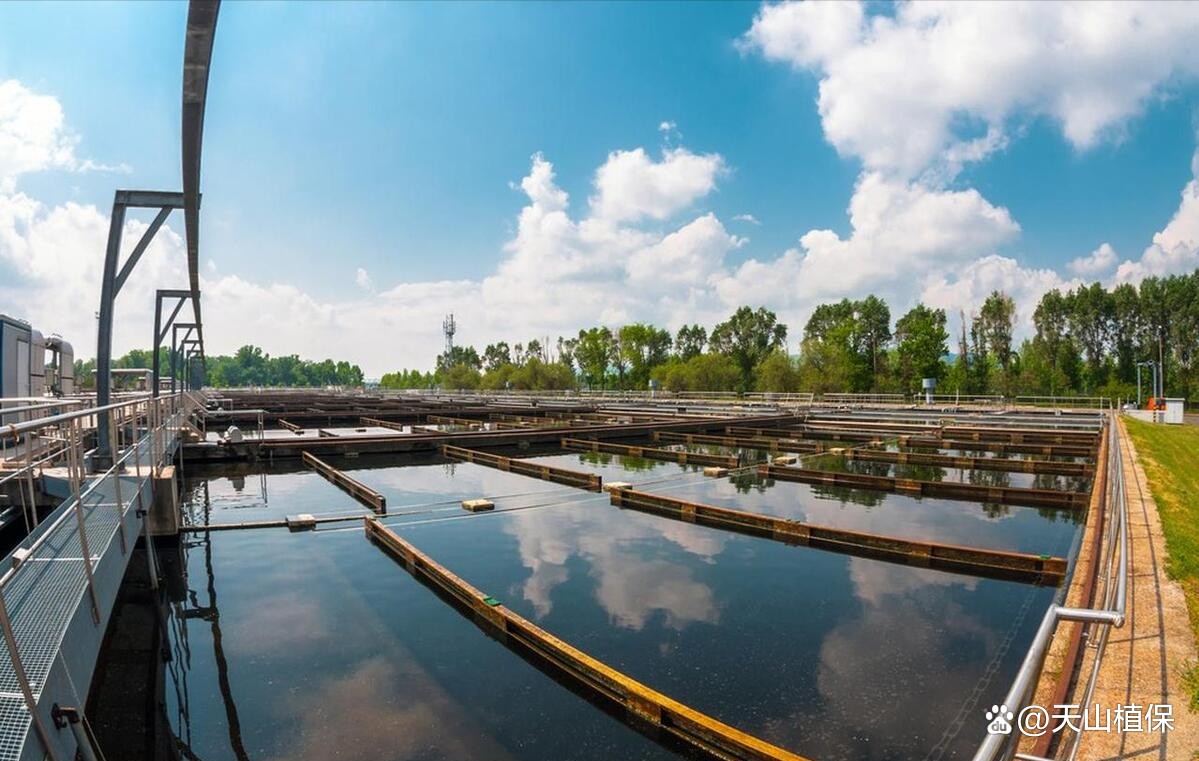 一個魚塘可以養幾種魚，魚塘養殖技術——混養 一個魚塘可以養幾種魚，魚塘養殖技術——混養 龍魚論壇 第1張