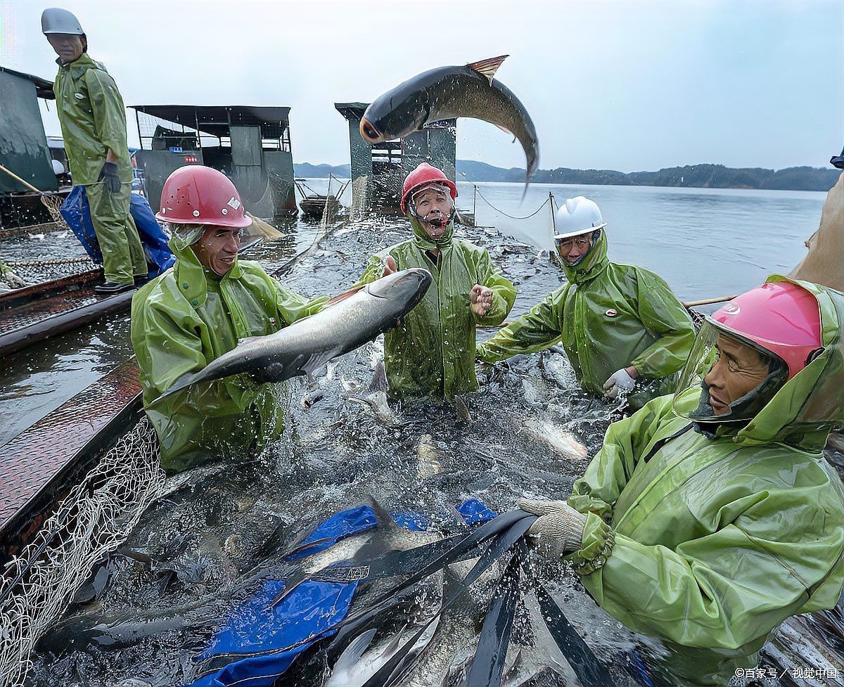 一個魚塘可以養幾種魚，魚塘養殖技術——混養 一個魚塘可以養幾種魚，魚塘養殖技術——混養 龍魚論壇 第3張