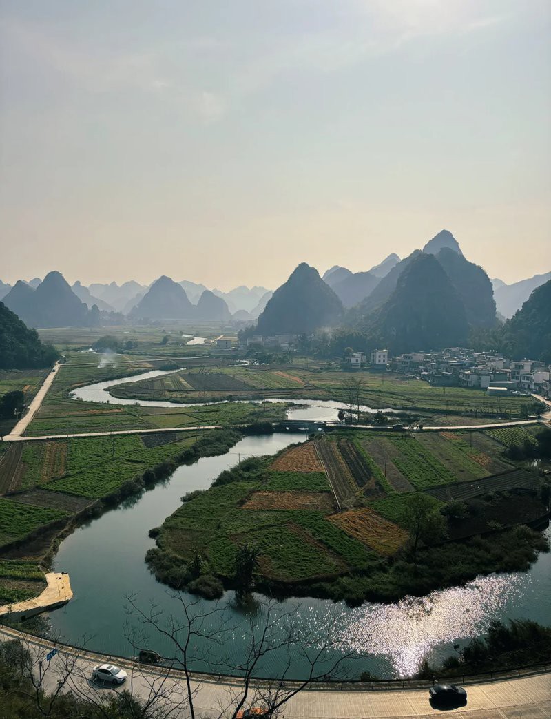 天等龍魚店，天等縣有龍魚店嗎 天等龍魚店，天等縣有龍魚店嗎 全國水族館企業名錄 第1張