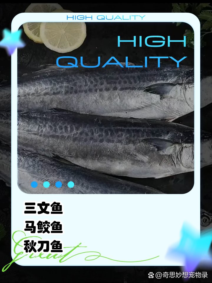 什么魚適合貓吃又便宜，貓咪吃什么魚合適 什么魚適合貓吃又便宜，貓咪吃什么魚合適 龍魚論壇 第3張