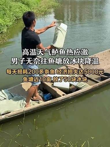 環(huán)境應(yīng)激對魚有哪些具體影響？，環(huán)境應(yīng)激對魚的具體影響