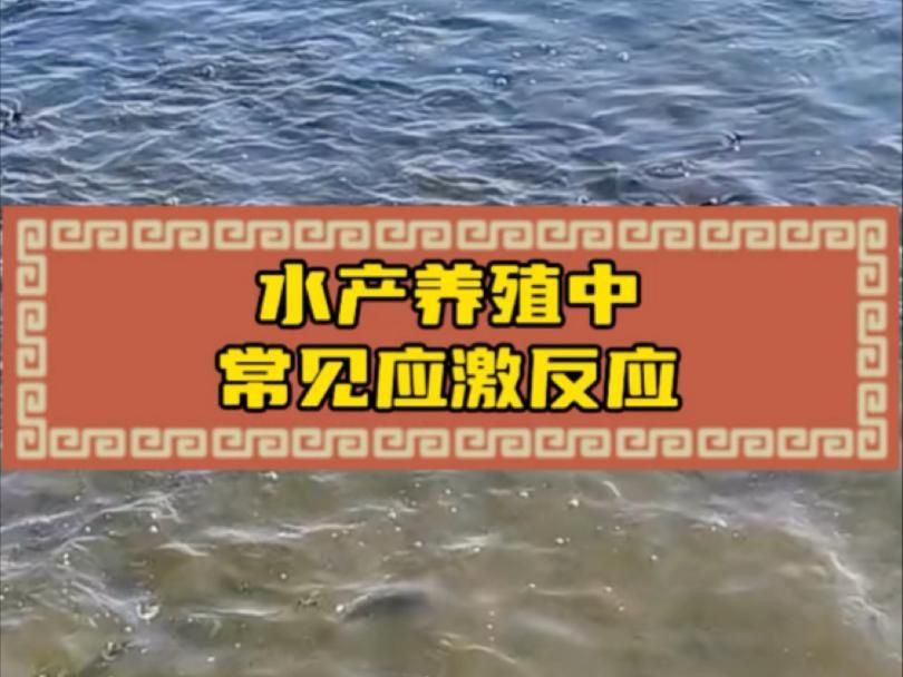 環(huán)境應(yīng)激對魚有哪些具體影響？，環(huán)境應(yīng)激對魚的具體影響