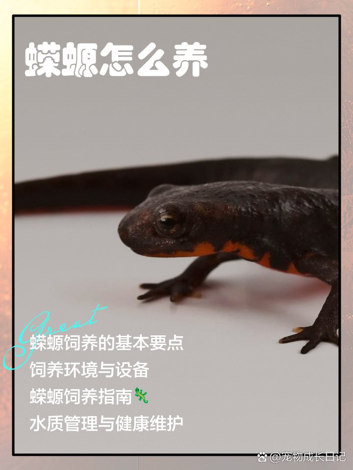 養蠑螈的10大忌，養蠑螈的十大禁忌及其詳細說明