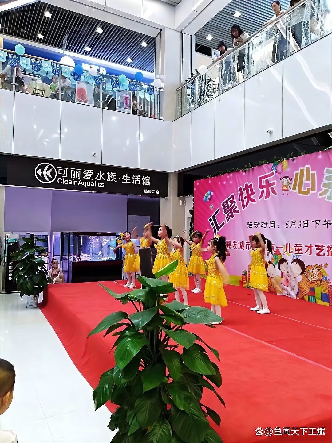 樂業水族店，樂業縣水族店的發展趨勢