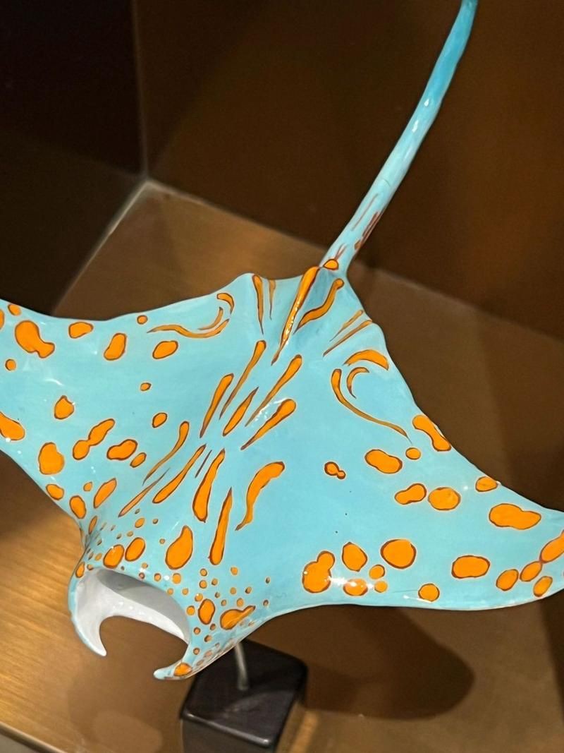 魔鬼魚圖片100張，魔鬼魚圖片100張魔鬼魚圖片展示