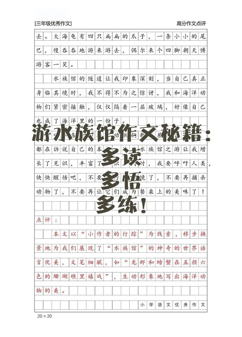 畢節水族館，探秘畢節水族館：一場奇妙的海底之旅