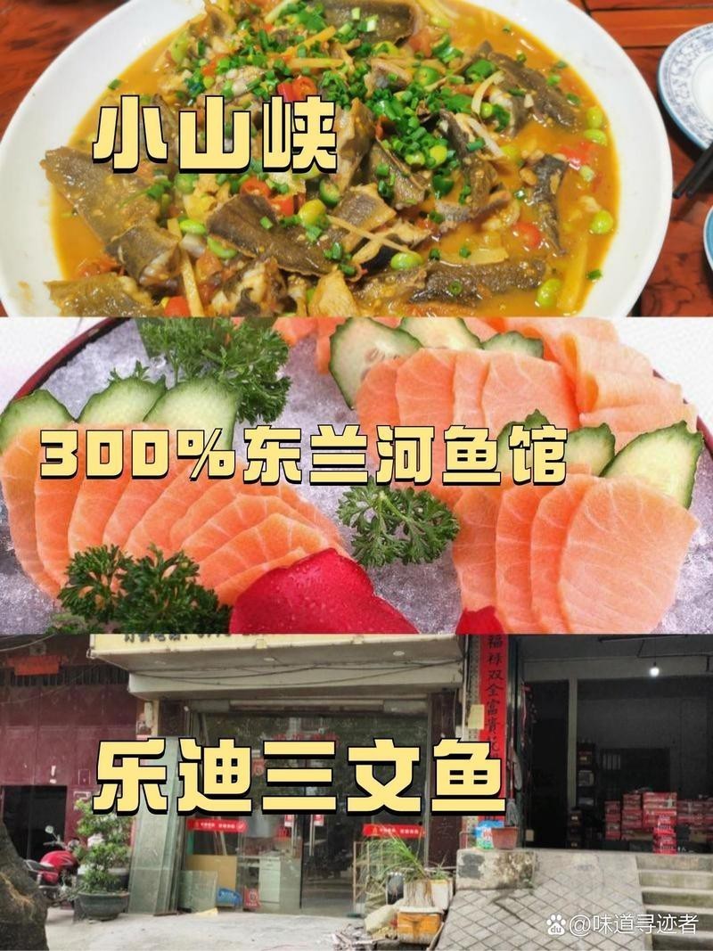 東蘭龍魚店，東蘭地區有專門的龍魚店嗎
