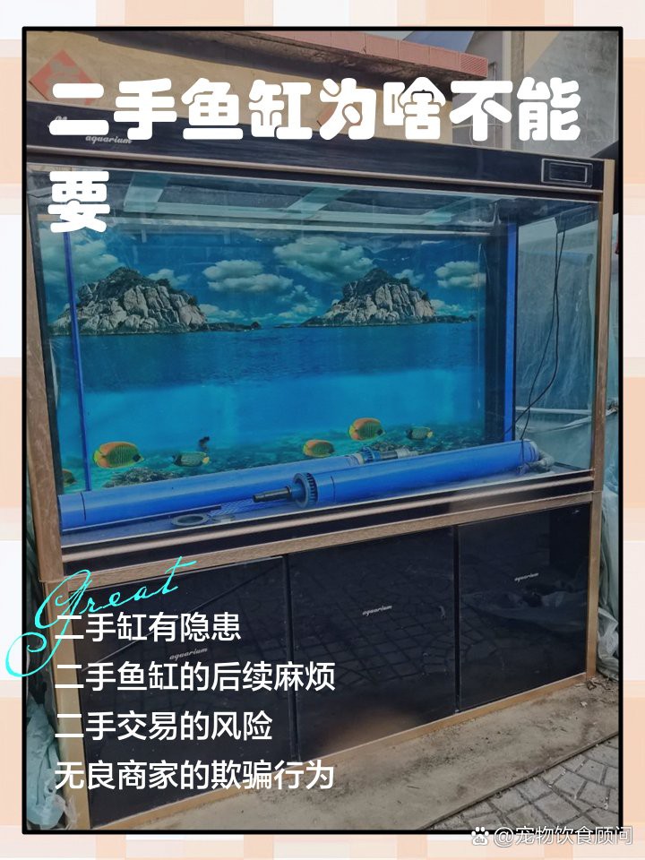 二手閑置魚缸低價轉(zhuǎn)讓，二手閑置魚缸改造