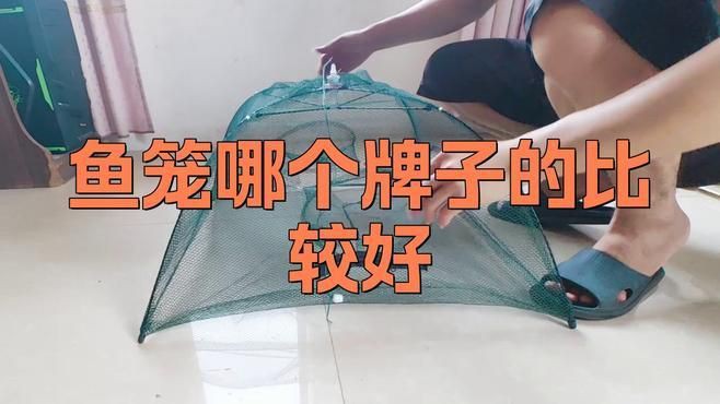 魚籠多少錢一個，哪里可以買到質(zhì)量好的魚籠 魚籠多少錢一個，哪里可以買到質(zhì)量好的魚籠 龍魚百科 第3張