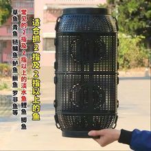 魚籠多少錢一個，哪里可以買到質(zhì)量好的魚籠 魚籠多少錢一個，哪里可以買到質(zhì)量好的魚籠 龍魚百科 第1張
