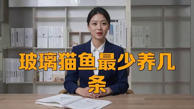 貓魚共養(yǎng)需要多大的魚缸？，招財(cái)貓最小用多大的缸養(yǎng)，可以和什么魚養(yǎng)到一起