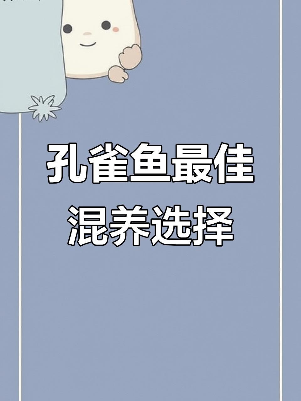 孔雀魚(yú)能與什么魚(yú)混養(yǎng)，孔雀魚(yú)混養(yǎng)推薦新奇想法萌寵匯