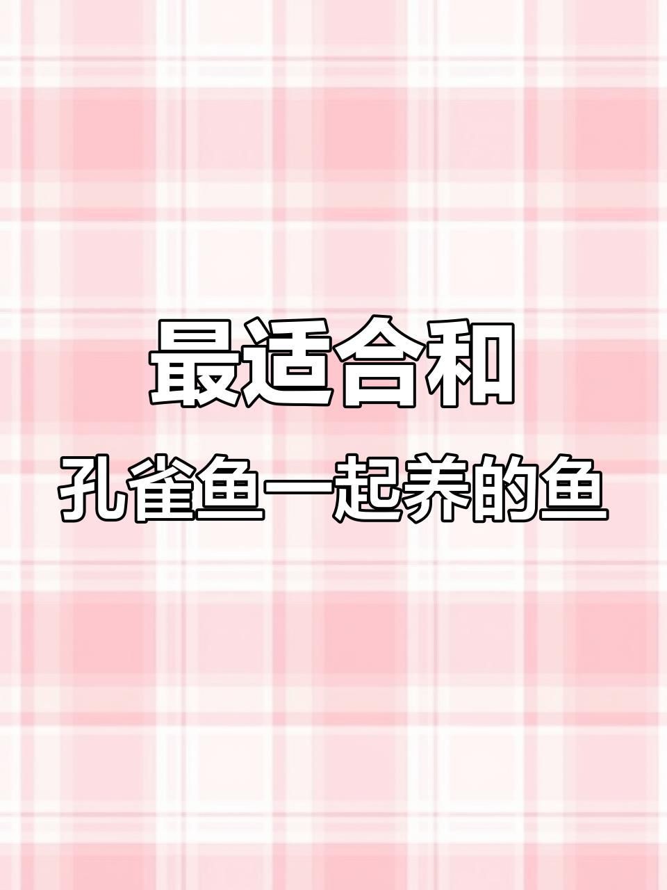 孔雀魚(yú)能與什么魚(yú)混養(yǎng)，孔雀魚(yú)混養(yǎng)推薦新奇想法萌寵匯